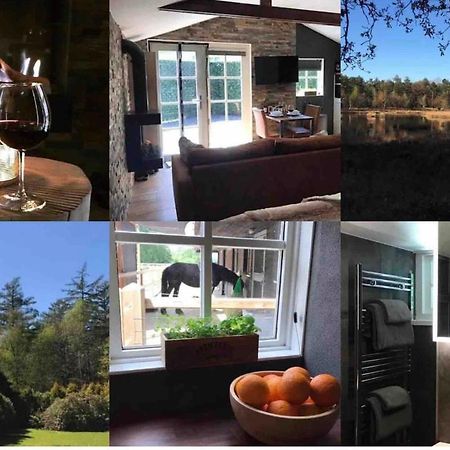 Luxe Natuurhuisje Met Jacuzzi En Haard In Drenthe, Echten Echten  Eksteriør bilde