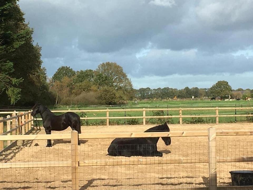 Luxe Natuurhuisje Met Jacuzzi En Haard In Drenthe, Echten Echten  Eksteriør bilde